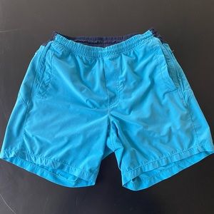 Birddogs Blue Mens Shorts Large